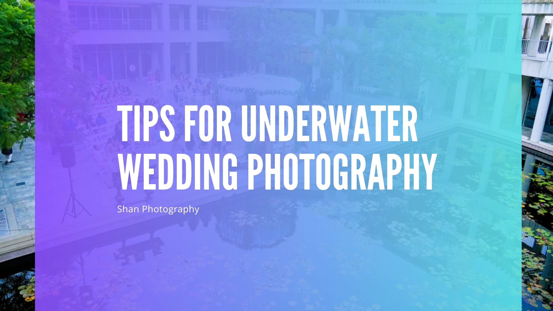 Tips for Underwater Wedding Photography