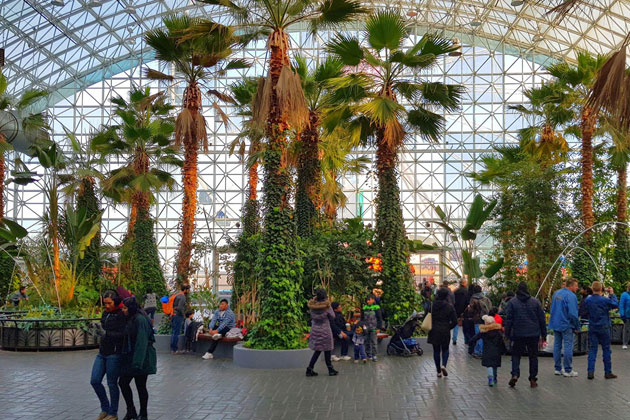 The crystal gardens at navy pier Chicago