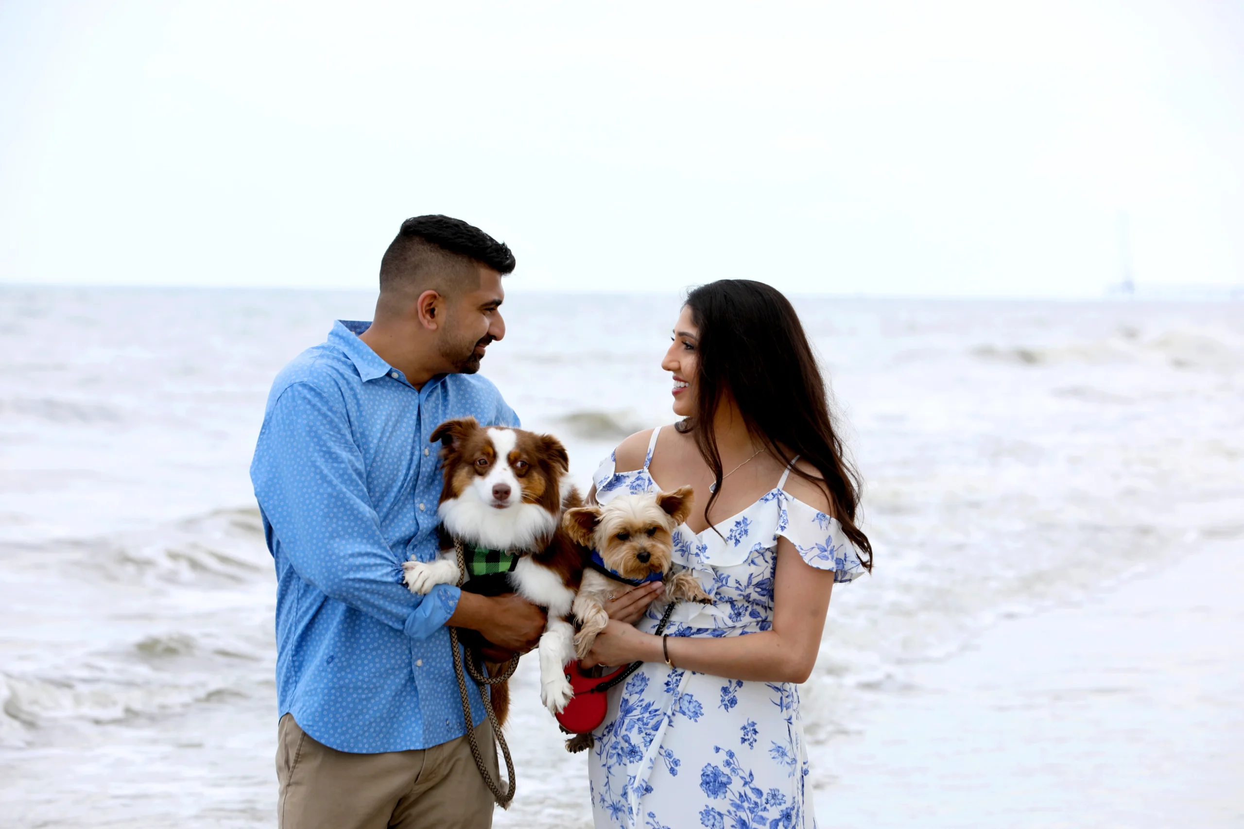pre wedding shoot with furry friend